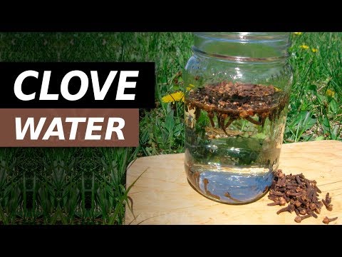 Drink Clove Water Everyday For These Amazing Benefits
