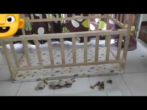 Video: Bagaimana anda memasang katil bayi pada katil?