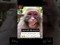 لما زوجك يقلك نكته بايخه 
