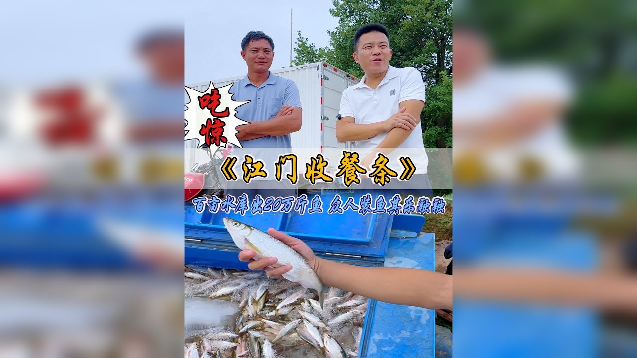 震惊！700亩水库一网20万斤鱼，餐条从天亮选到天黑！