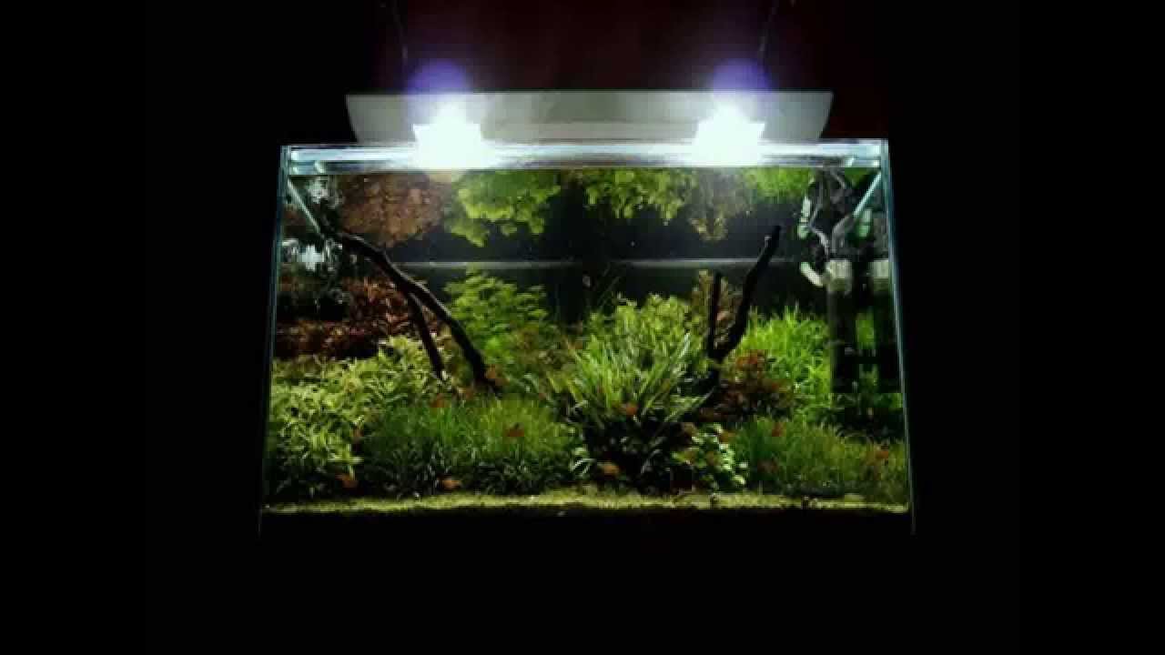 Freshwater Aquarium Design Ideas designing an aquascape can be challenging aquascaping involves using basic principles of design and applying them to the aquarium Aquarium Rock Design Youtube Freshwater Aquarium Design Ideas wide aquarium design german Aquarium Rock Design Youtube