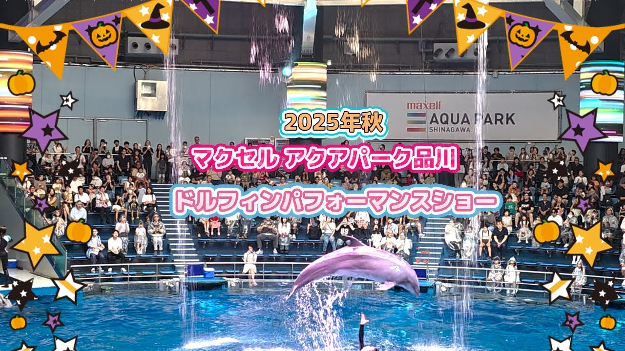 マクセル アクアパーク品川 2025秋 ドルフィンパフォーマンスショー