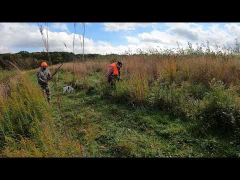ხოხობზე ნადირობა ნიუჯერსი 24.10.21