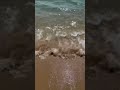 ¿Hay algo mejor que esto? #asmr #shorts #relax #relaxing