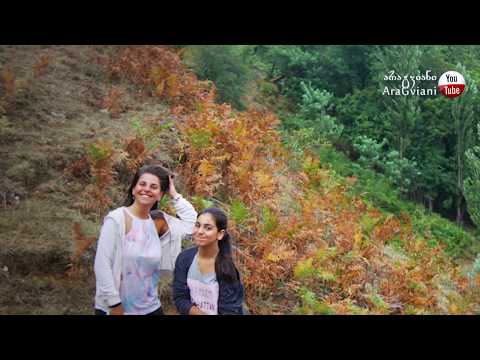 The Tsiklauri Sisters | Samshoblos | Live | დები წიკლაურები | სამშობლოს