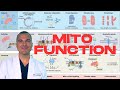 Must-know Mitochondrial Functions For Optimal Health!