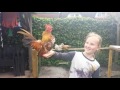 Youtube Thumbnail title
