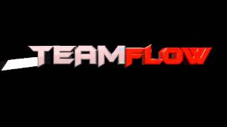 Teamflow Intro