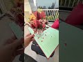 Flowers that won’t die