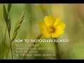 How to photograph the flowers you love!