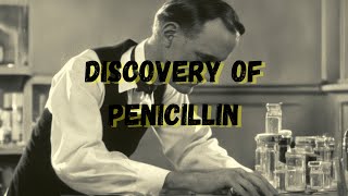 The Discovery of Penicillin: Alexander Fleming and the First Antibiotic