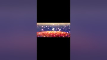 Thumbnail of "雨景色"-The Shape of Rain-MV公開！ #ロクデナシ #日陰