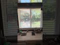 New Cordless Faux Wood Blinds for Your Home