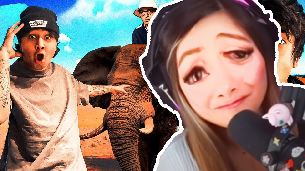 SOFI REACCIONA A PUVLO EN AFRICA 🙀🦒🐆🙉