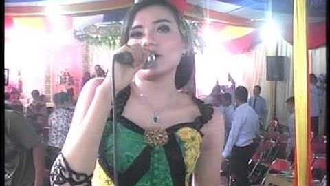 02 Sayang  II Primaverra Live MUSIC