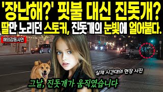 [해외감동사연] '장난해?' 핏불 대신 진돗개? 아빠는 교환을 원했지만, 그 개가 결국 ‘가족’을 지켰습니다