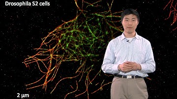 Microscopy: Super-Resolution: Localization Microscopy (Bo Huang)