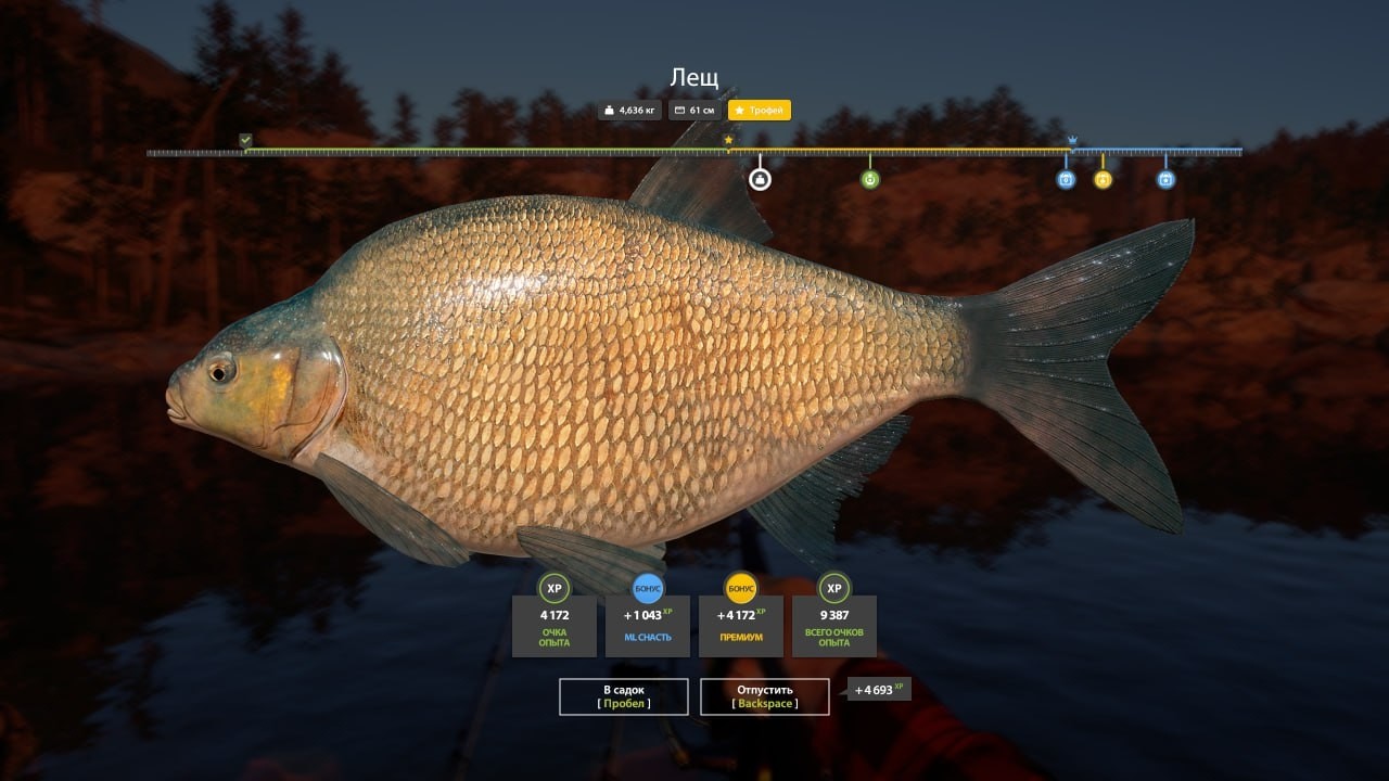 РАЗДАЧА ТРОФЕЙНЫХ ЛЕЩЕЙ НА КУОРИ, СУПЕР ТОЧКИ С ФАРМОМ НА МЕДНОМ ОБЗОР В РУССКОЙ РЫБАЛКЕ 4 РР4