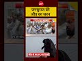 Syed Suhail | Jan Suraaj की Victory Celebration | Bihar #shorts