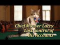 Exclusive | Chief Mouser Larry loses control