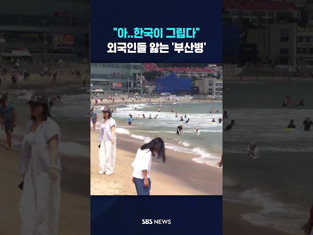 "아..한국이 그립다" #shorts
