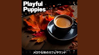 Cobblestone Cafe Ballads (Key C Ver.)