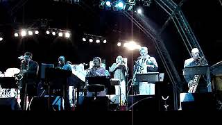Jools Holland&#39;s Rhythm &amp; Blues Orchestra - (Live at Petworth Park 2006)