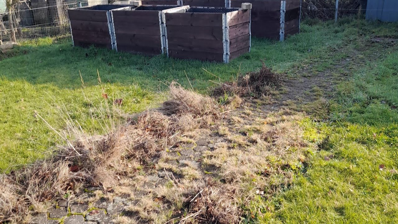 مبتدئ في الزراعه صديق الصفحه بده يزرع حديقته في المانيا.