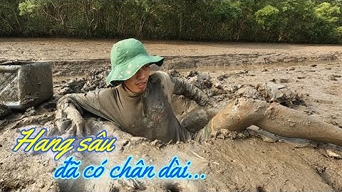 Bắt Tôm Tít Biển Ướt Quần Là Có Tiền | Gia Đình Cần Giờ .141 |