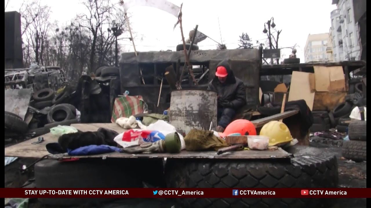 Ukraine Protests: Amnesty Offered to Demonstrators