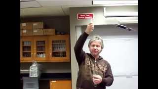 Unit 4 Lab Centripetal Force