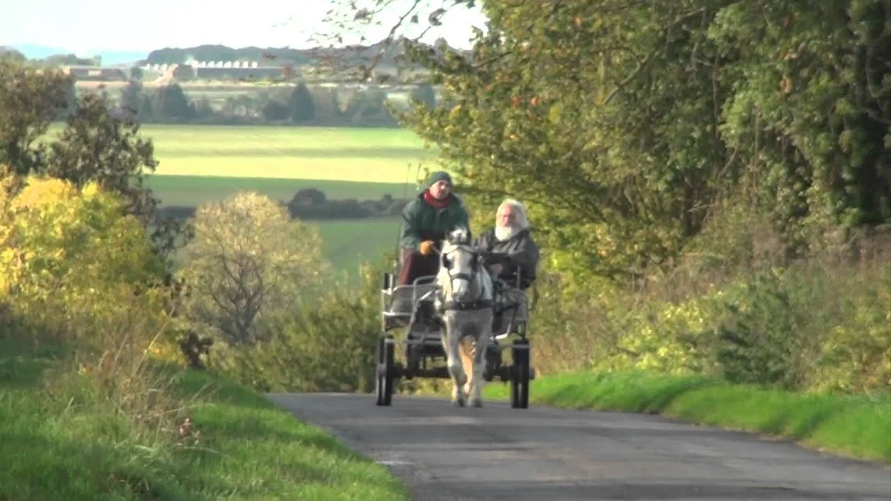 Испуг на ветру — тренировка уверенности в себе.