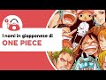 Scopri i significati dei NOMI di ONE PIECE