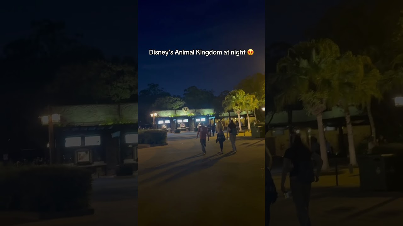 Disney’s Animal Kingdom at night 😍 