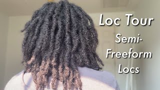 Loc Tour: High Density Semi-Freeform Locs 9 Months Into the Loc Journey