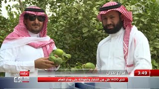 مزارع بنجران .. تنتج 1400 طن من الخضار والفواكة على مدار العام