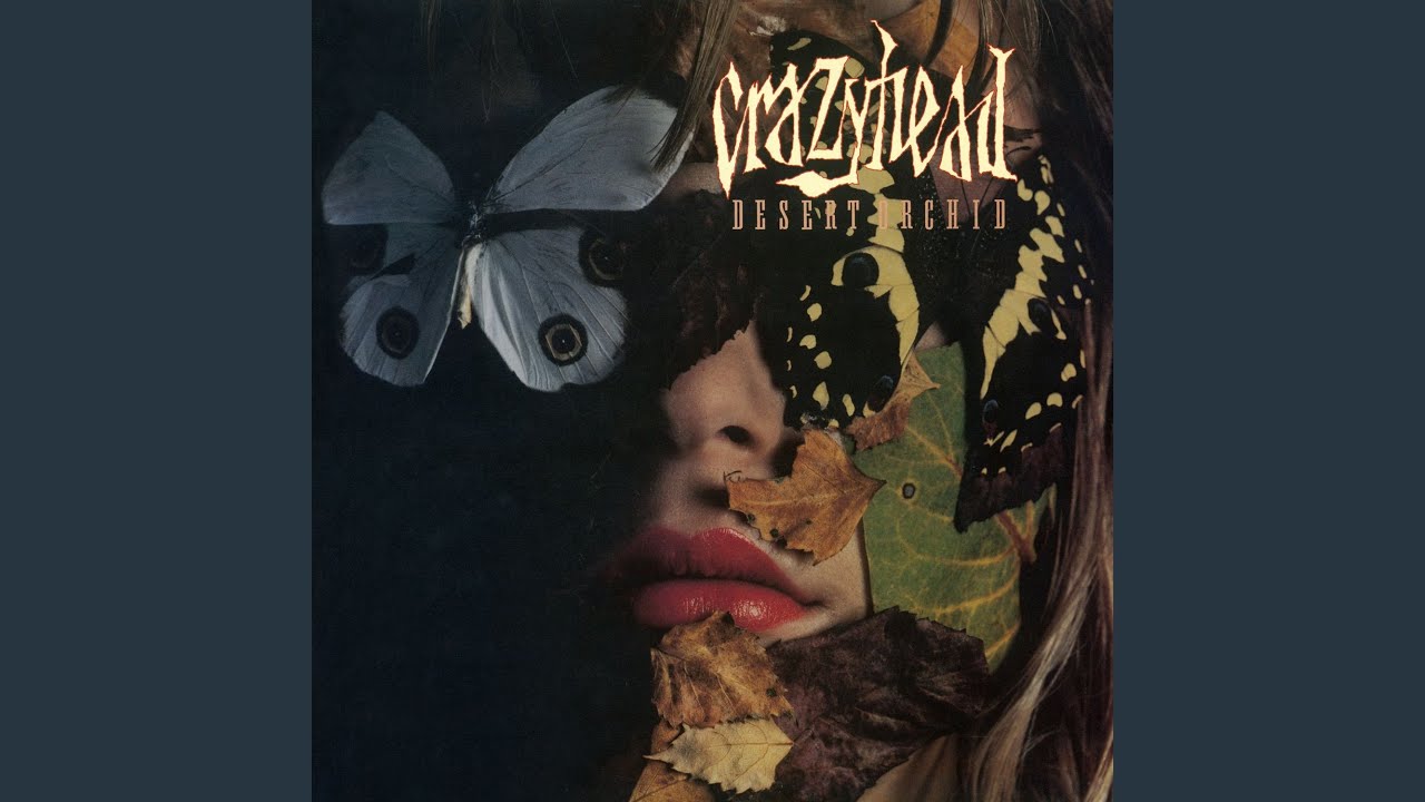 Watch Fortune Teller on YouTube Watch Fortune Teller on YouTube