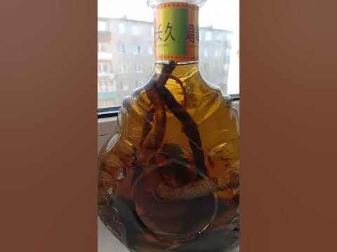 Китайская змея! - YouTube