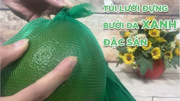 Túi lưới bọc bưởi da xanh Bến Tre/sanxuattuiluoi.com