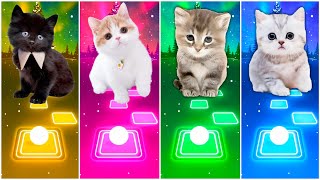 CUTE CATS - CUPID - ALAN WALKER FADED - LADY GAGA BLOODY MARY -  SUGAR TILES HOP EDM RUSH screenshot 2