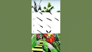 官方CSGO刀子等级排名，短剑热门竟然不高端？？#csgo #爪子刀 #csgo蝴蝶刀#csgo饰品 #csgo刀子推荐