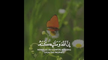 ان الله وملائكته يصلون على النبي 🍁 الشيخ احمد النفيس حالات واتس اب دينية قصيرة مؤثرة قرآن كريم تلاوة