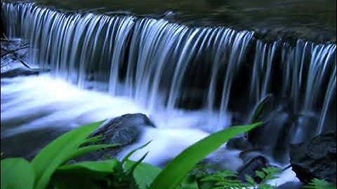 سورة هود كاملة :تلاوة تفوق الخيال