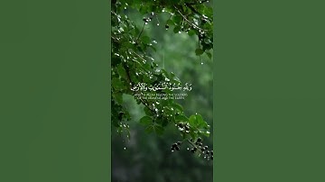 القارئ عبدالرحمن مسعد #تلاوة_خاشعة #اكسبلور #قرآن