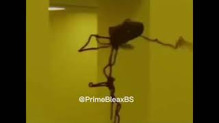 Ensevdiğim Dans Poci Poci Sentar 2 Inci Bu