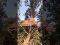 aaj tree house ke samne ladai ho gaya 🥺 | daily life style mini vlog