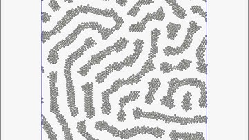 Core-corona Self-Assembly of  2D double Shell corona particles: stripes phase at  P=4.0