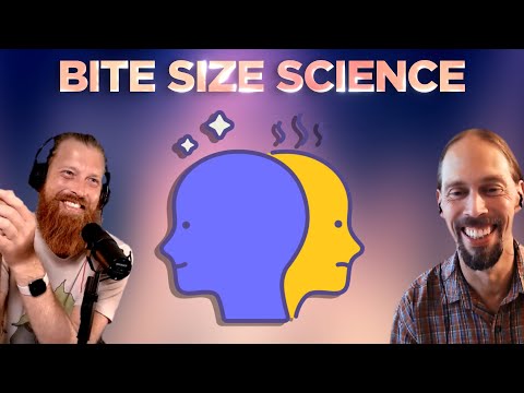 Hypomania | Bite Size Science