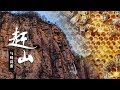 《赶山》第二集 赶山之与蜂谋蜜 | CCTV纪录