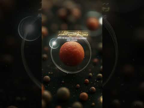 الحمدالله ع كل نعمة انعمها علي ياارب وزدنا فضل من عندك لانطلب سواك